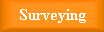 [surveying]